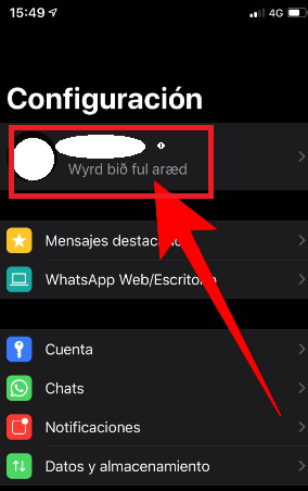 Pasos para cambiar foto de perfil de WhatsApp en iOS 