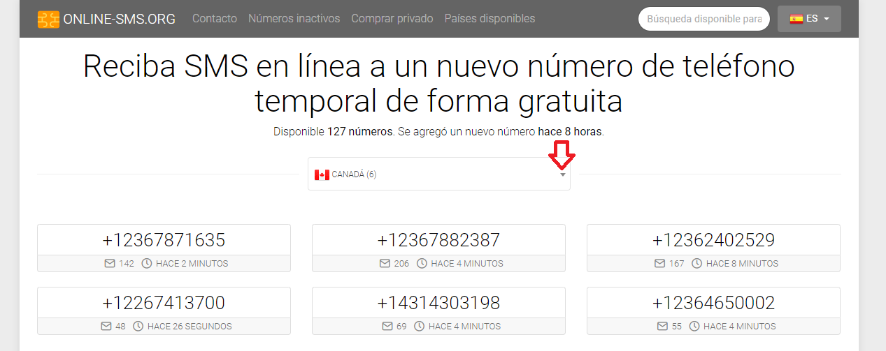 Cómo recibir SMS sin número de teléfono desde un sitio web
