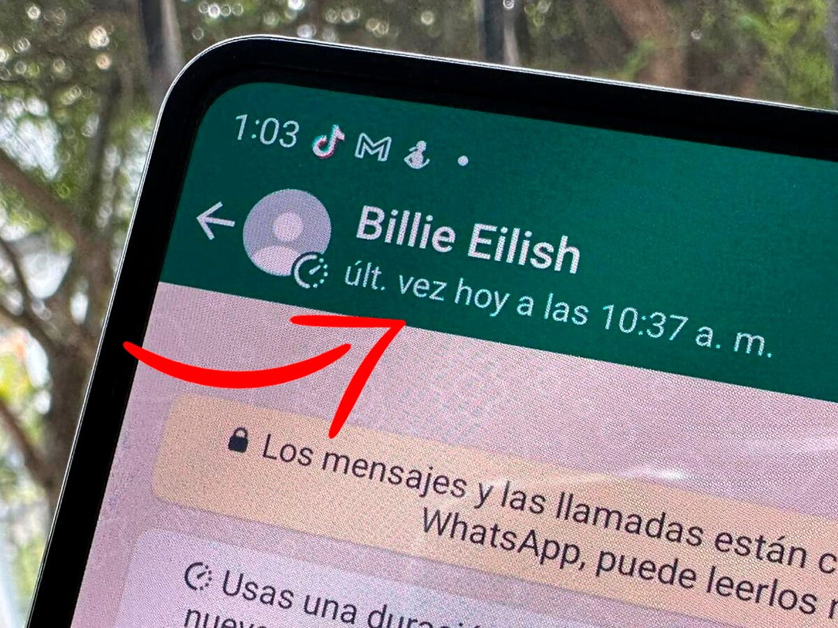 ¿Cómo fijar la hora de última conexión en WhatsApp?