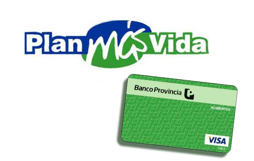 ¿Qué es la tarjeta Visa Vale y cómo funciona?